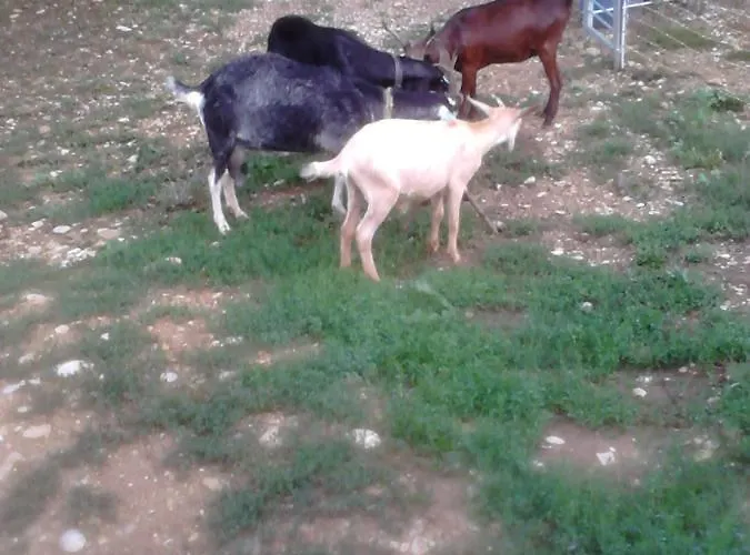 Apartament Les Tilleuls *